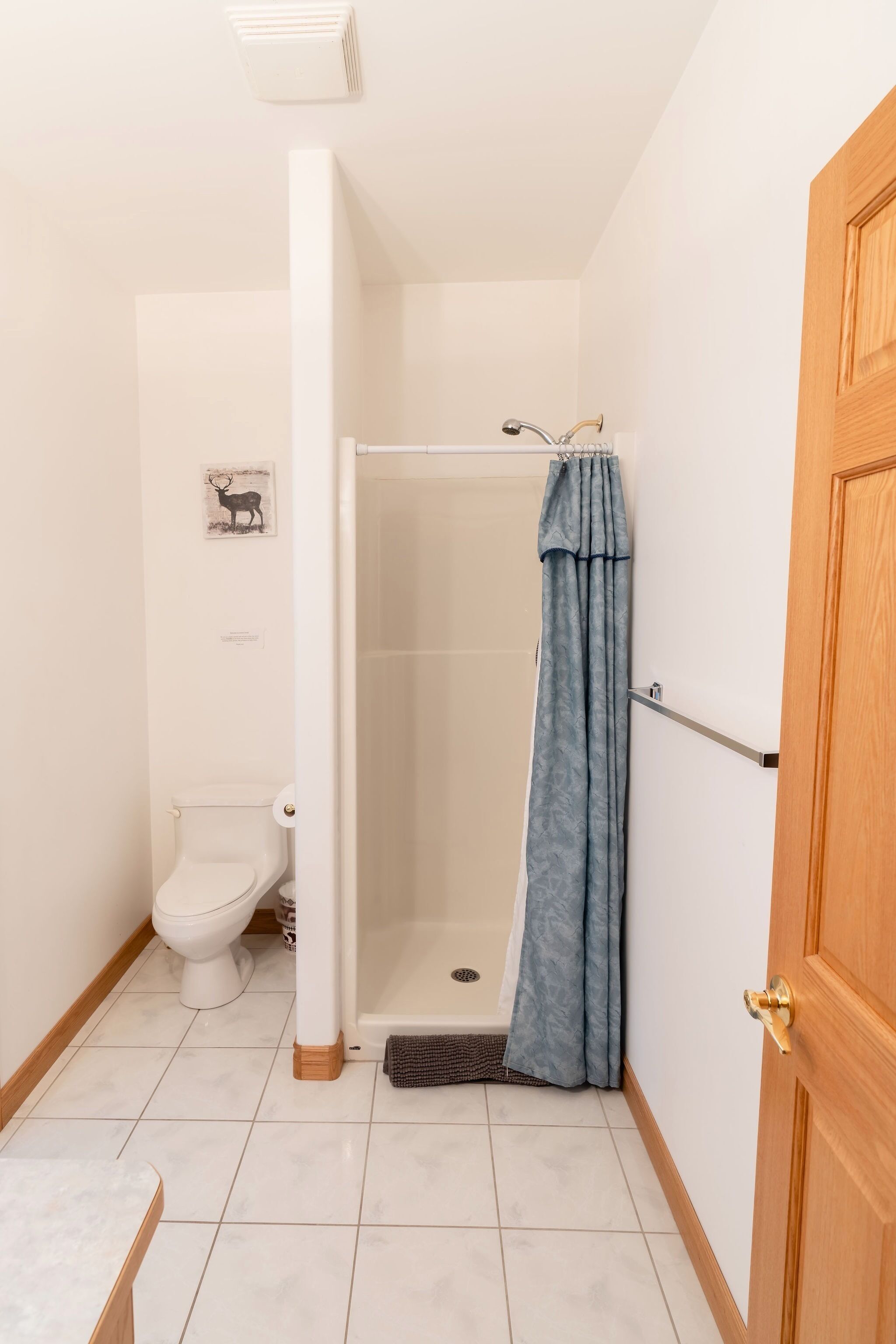 A bathroom with a shower, toilet, and a wooden door.