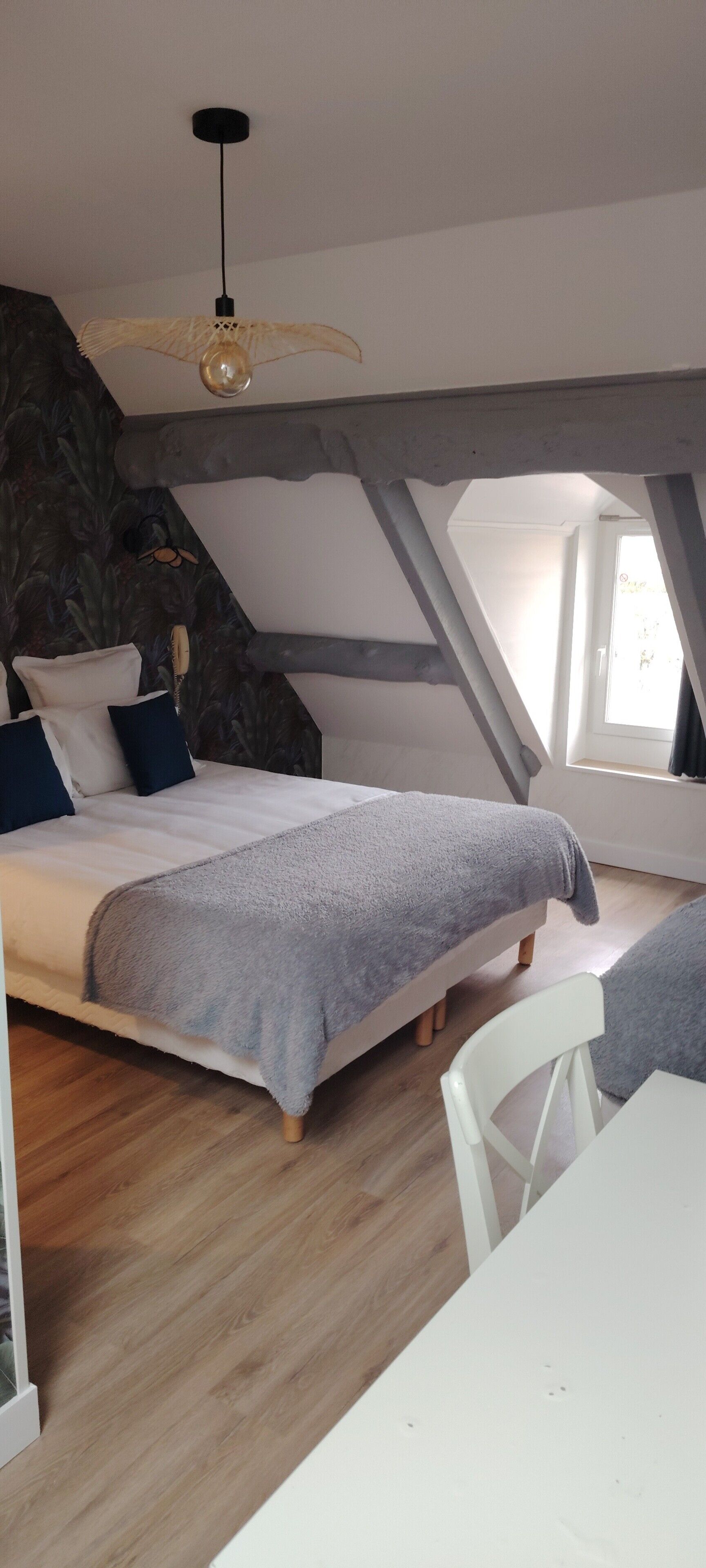 Neljän hengen comfort-huone | Työpöytä, ilmainen Wi-Fi