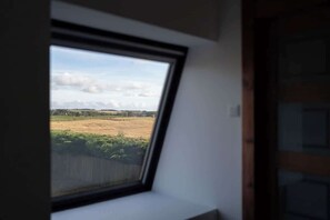A skylight window with a view of a field and distant trees.