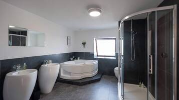 Shower, hair dryer, shampoo