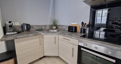 Appartement 4/6 p - 2 chambres - 1 salle de bain - 50m2