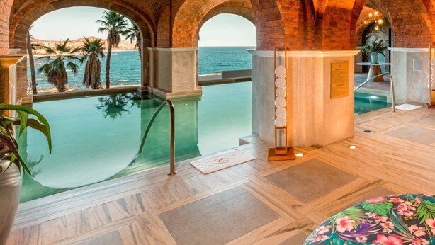 Un espace piscine luxueux avec des plafonds voûtés en briques, une vue dégagée sur la mer et un décor tropical.