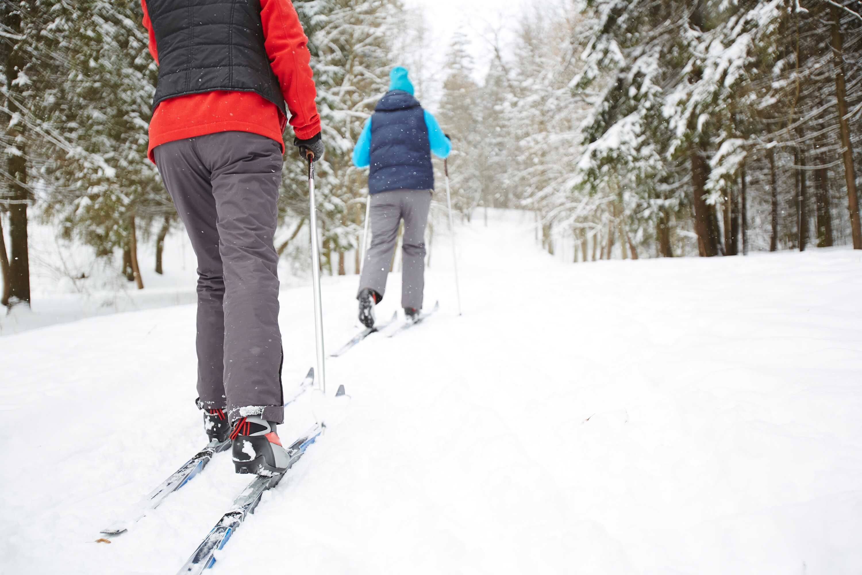 Two people skiing on a snow-covered path surrounded by trees.