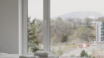 Apartment (Libertador) | 1 bedroom, premium bedding, down duvets, pillow-top beds