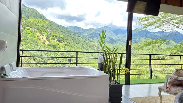 Un baño con una bañera grande, una planta en maceta y una silla.
