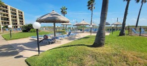 Property grounds - Direct beach front &  Resort like heated pool (South Padre Island)