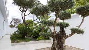 Een modern gebouw met een witte gevel, een grindpad en diverse beplanting, waaronder een grote boom met een dikke stam.