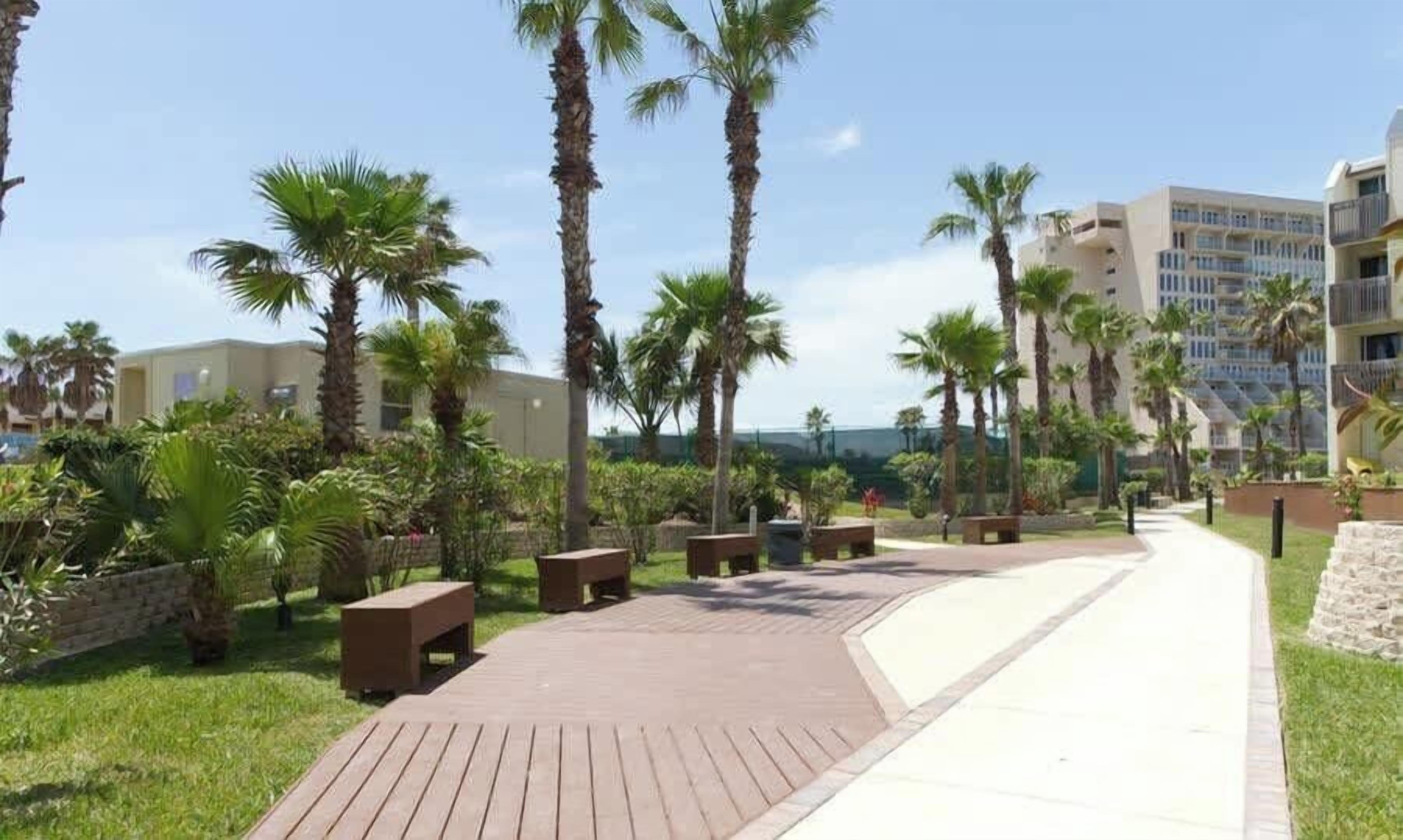 A pathway lined with palm trees and benches, leading to a building with balconies.