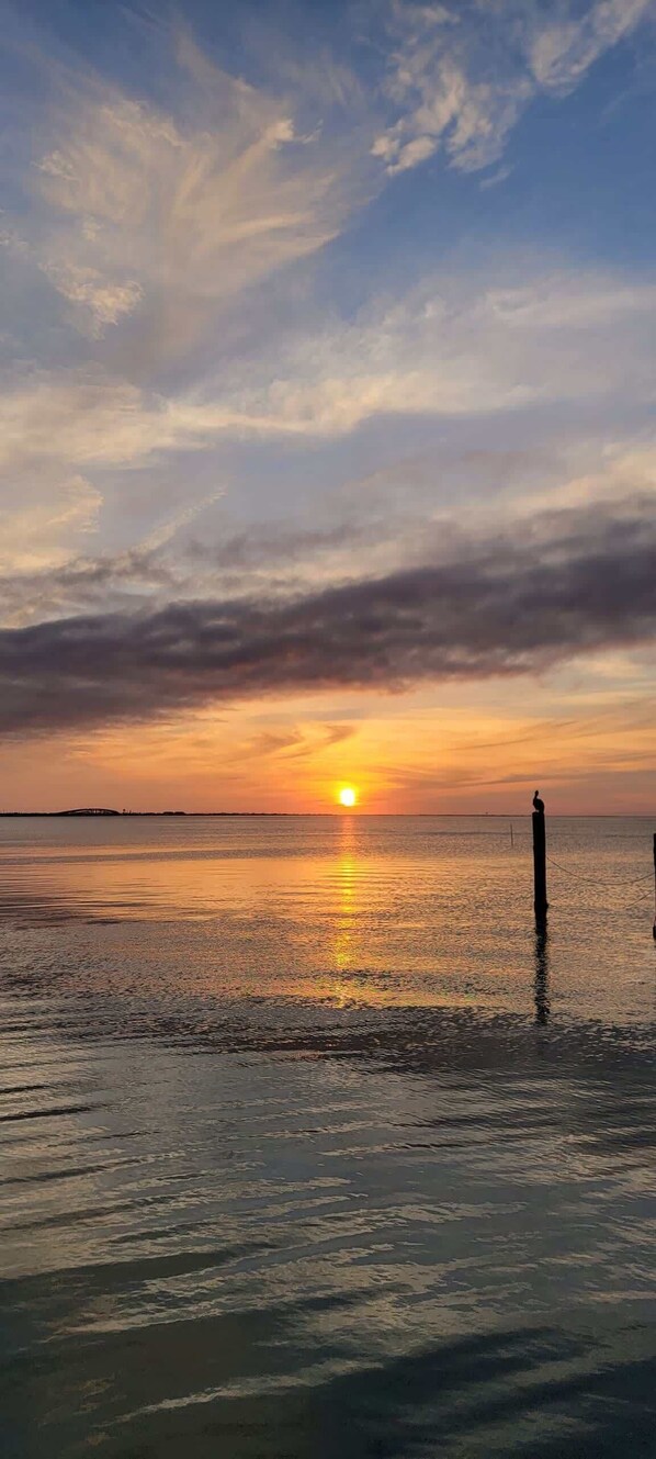 بالقرب من الشاطئ