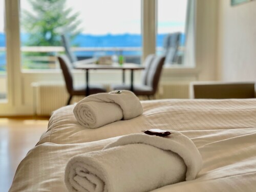 Modern "Waldluft" apartment with pool and sauna in Scheidegg in the Allgäu