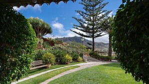 A garden pathway leading to a bench, surrounded by various potted plants and trees. - Beautiful garden, spectacular view and privacy, ideal for nature lovers. (Tegueste)