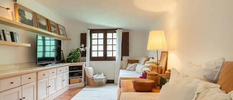 Smart TV, fireplace, books