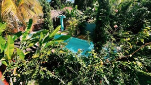 Ein Pool, umgeben von üppiger tropischer Vegetation, darunter Bananenbäume und verschiedene Grünpflanzen.