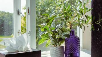 Chambre Triple Familiale, vue jardin | Vue de la chambre