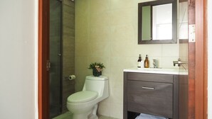 A bathroom with a toilet, a sink, and a mirror. - Mirador Pushkin by The Local Way (Mexico City)