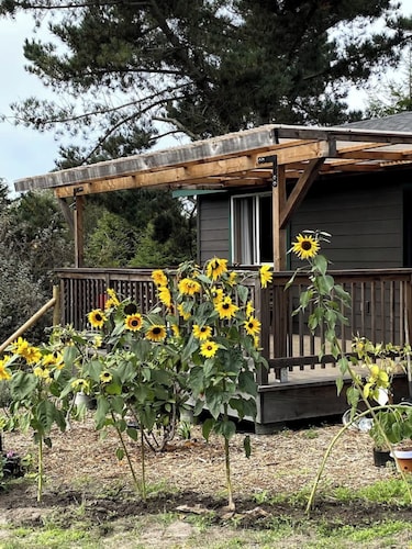 Private Garden Home near beach&downtown Ft.Bragg-quiet & nice! Pets stay free!