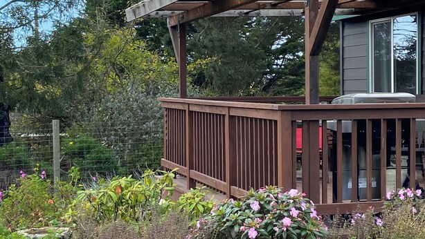 Une terrasse en bois surmontée d’une pergola, entourée d’une végétation luxuriante et de plantes en fleurs.