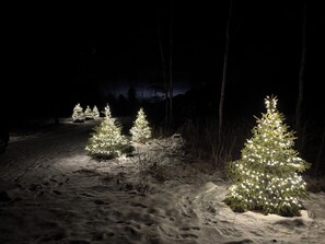 المنطقة المحيطة بالمنشأة