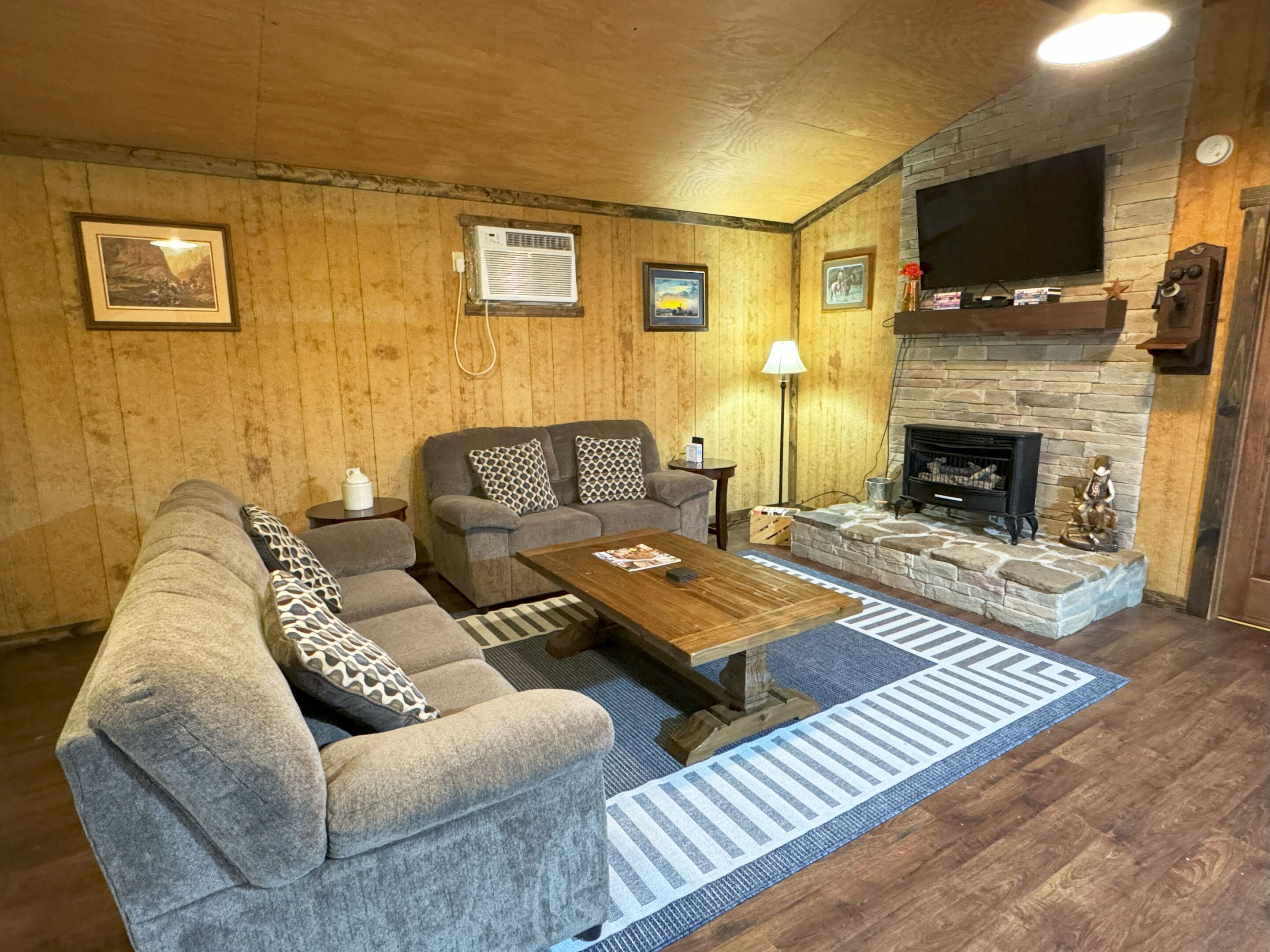 Smart TV, fireplace, DVD player, books