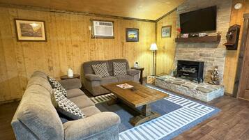 Smart TV, fireplace, DVD player, books