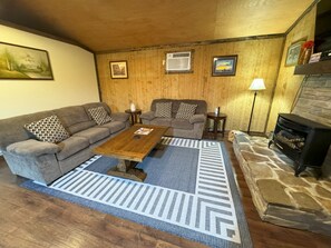 Smart TV, chimenea, reproductor de DVD y libros 