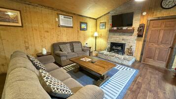 TV connectée, cheminée, lecteur de DVD, livres