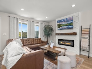 Smart TV, fireplace, books