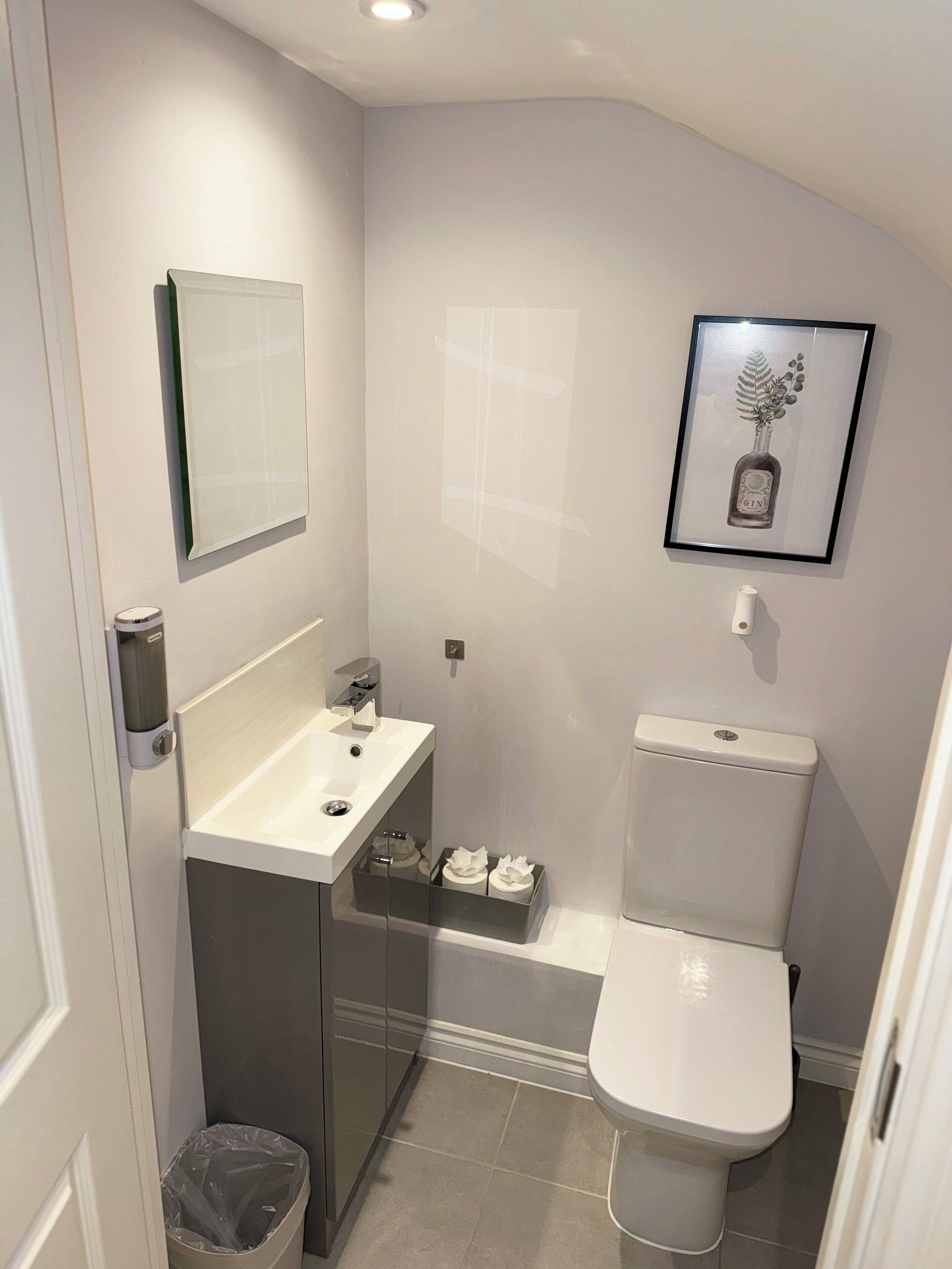 Hair dryer, towels, soap, toilet paper