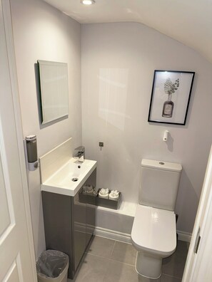 Hair dryer, towels, soap, toilet paper