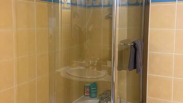 Une cabine de douche fermée par des parois en verre, équipée d’un pommeau de douche à main et d’une barre pour suspendre une serviette.