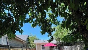 Ein Garten mit Terrasse, Grill und Holzfence.