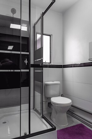 Shower, toilet paper - Hostel La Moneda (Santiago)