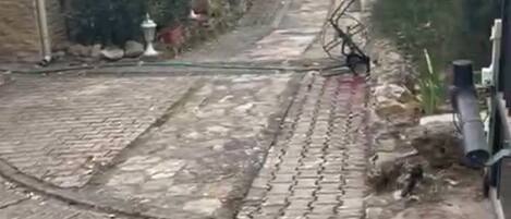 Ein schmaler Steinweg führt zu einem Gebäude mit einem Ziegeldach.