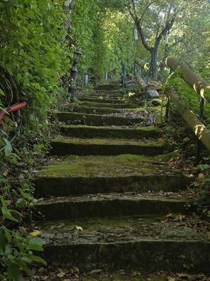 Overnattingsstedets uteområder
