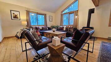 TV, fireplace, video games, DVD player