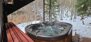 Outdoor spa tub