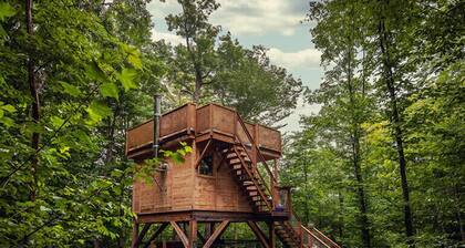 Treehouse ideal for pairing with a neighbour | Lodging #11