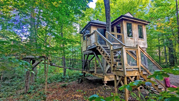 Une cabane en bois perchée dans un arbre, dotée d’un escalier et d’une plateforme d’observation, et entourée d’une forêt dense.