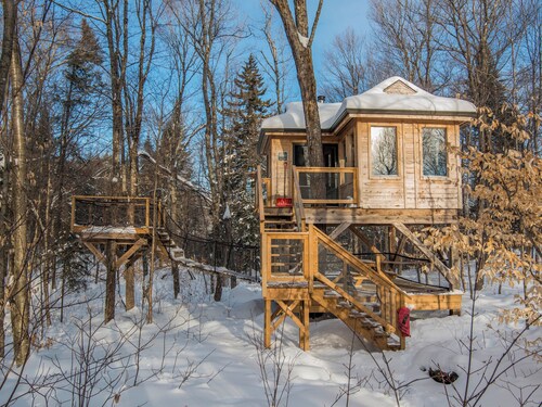 Treehouse #12 (in the forest)