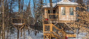 Treehouse #12 (in the forest)