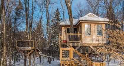 Treehouse #12 (in the forest)