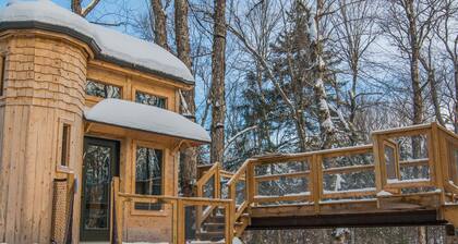 Cabane dans les arbres #13