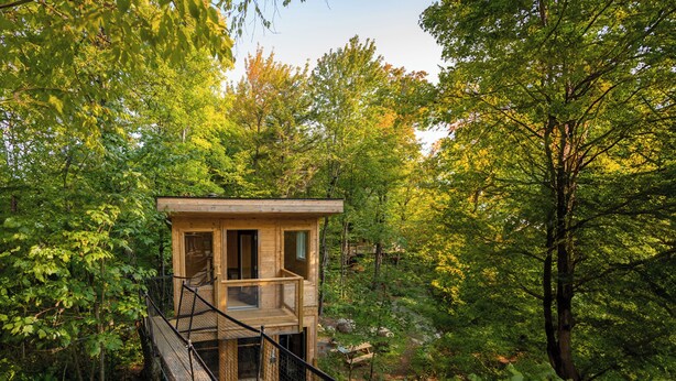 Une cabane en bois perchée dans un arbre, dotée d’un balcon et entourée d’une forêt dense.