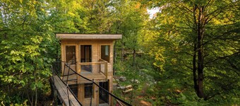 Treehouse #14 (in the forest)