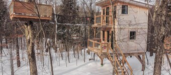 Treehouse #14 (in the forest)