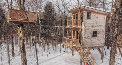 Treehouse #14 (in the forest)