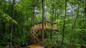 Une cabane en bois perchée dans un arbre, accessible par un escalier, et entourée d’une forêt dense.