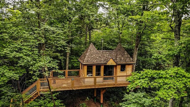 Une cabane en bois perchée dans un arbre, accessible par un escalier, et entourée d’une forêt dense.