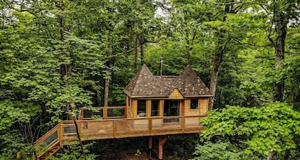 Treehouse #15 (in the forest)