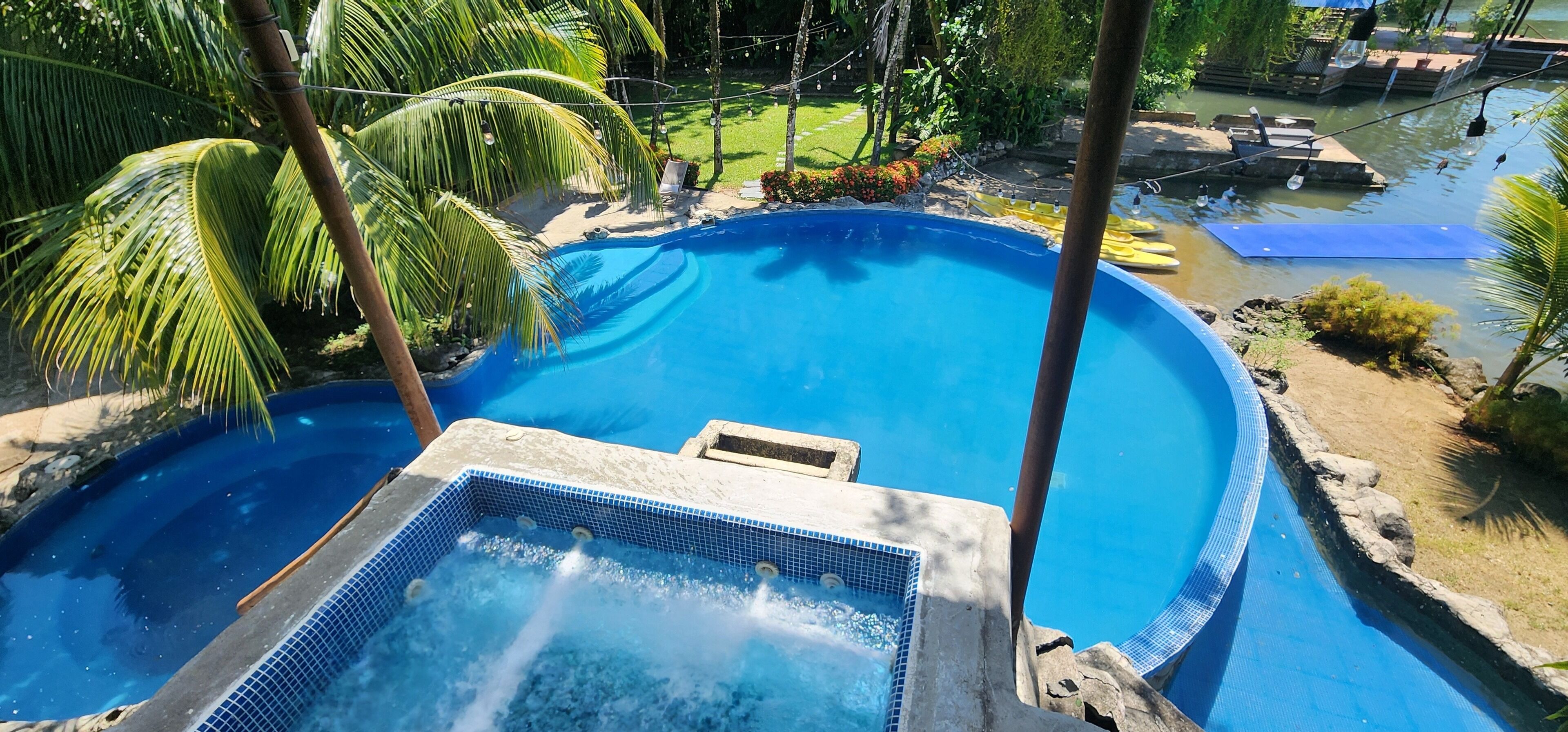 Una piscina con idromassaggio, circondata da palme e una piccola zona solarium.